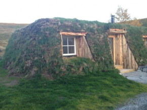 Modern turf house